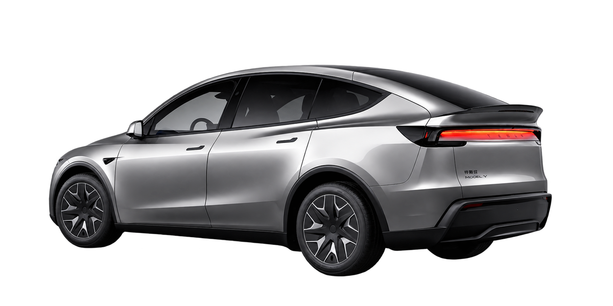 Model Y L